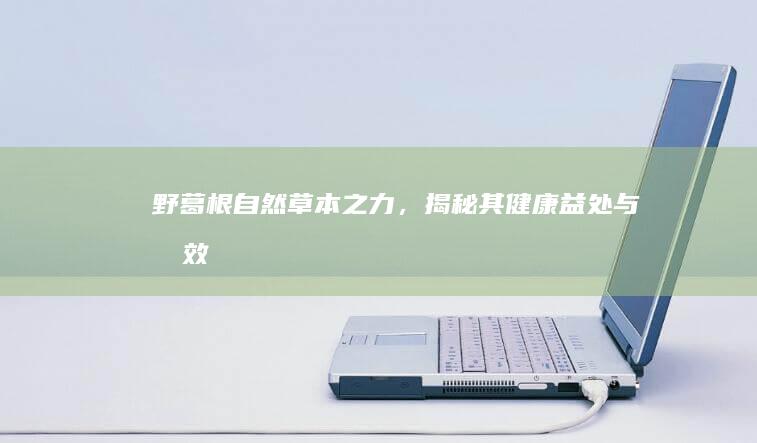 野葛根：自然草本之力，揭秘其健康益处与功效